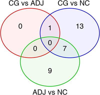 miRNome Reveals New Insights Into the Molecular Biology of Field Cancerization in Gastric Cancer